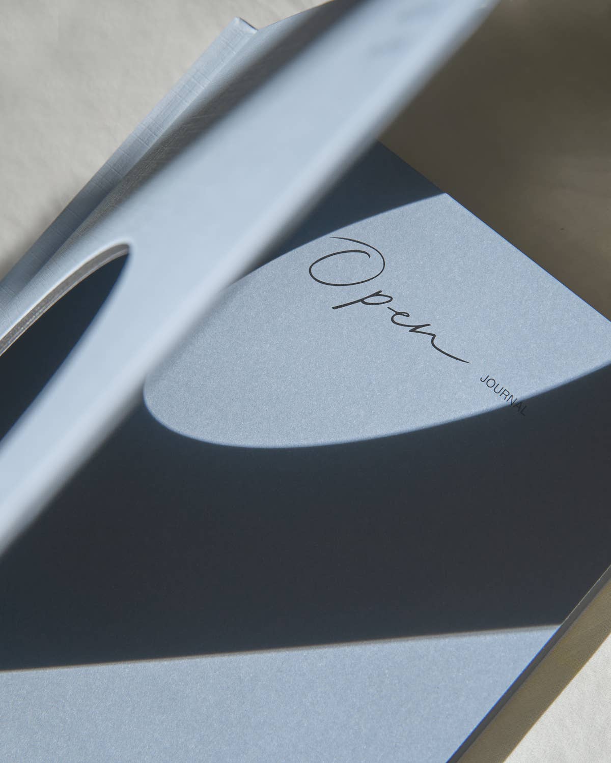 Wilde House Paper - Vente Journal intime - Ouvrir le journal dans le cloud2