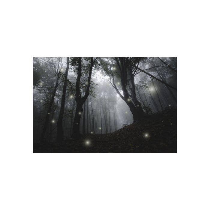 Huile parfumée Forêt Enchantée pour bougies, cires fondues pour la vente par Blossom Oils