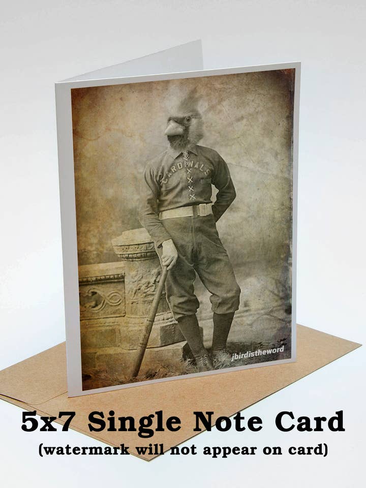 Carte Cardinal, Bird Notecards Baseball, Sport Fan Merci pour la vente par The Wild Oddisorium