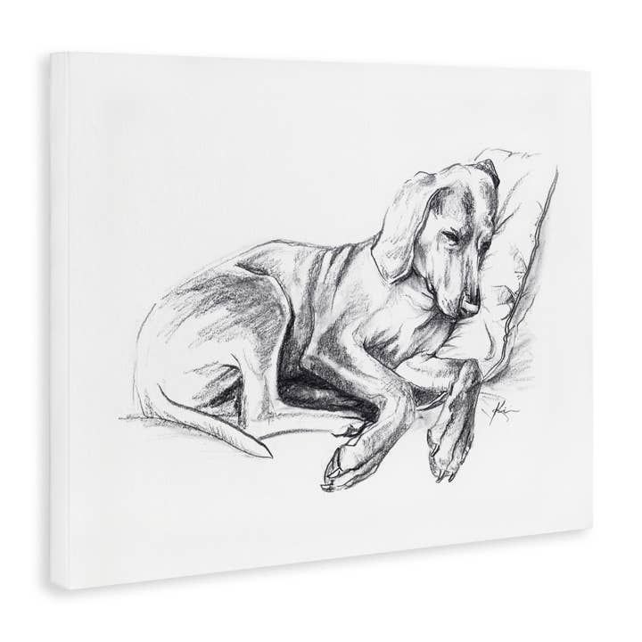 Stupell Industries - Wholesale Wall Decor - Kids & Baby - Napping Dog Drawing Canvas Art8