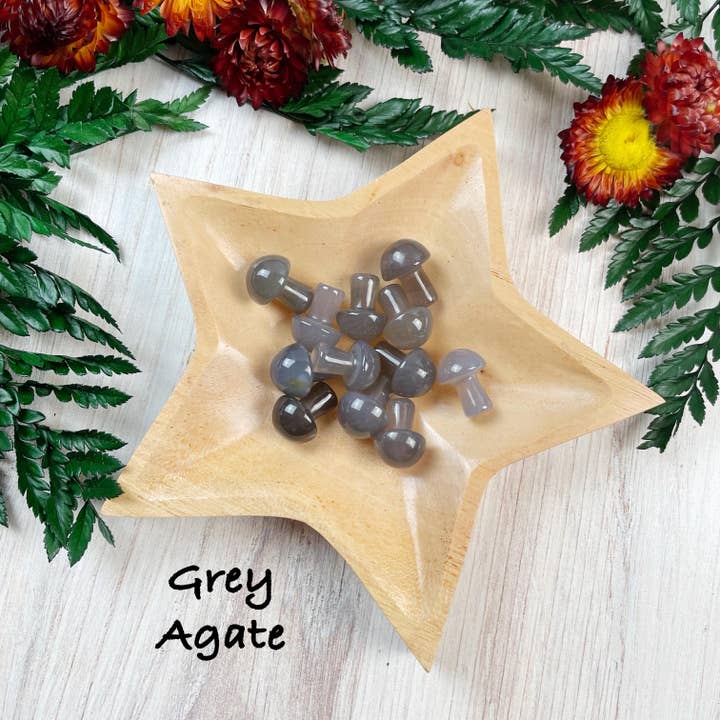 Ewelina Pas Jewelry - Wholesale Spiritual Stone/Crystal - MINI Gemstone Mushroom Pocket Stone19