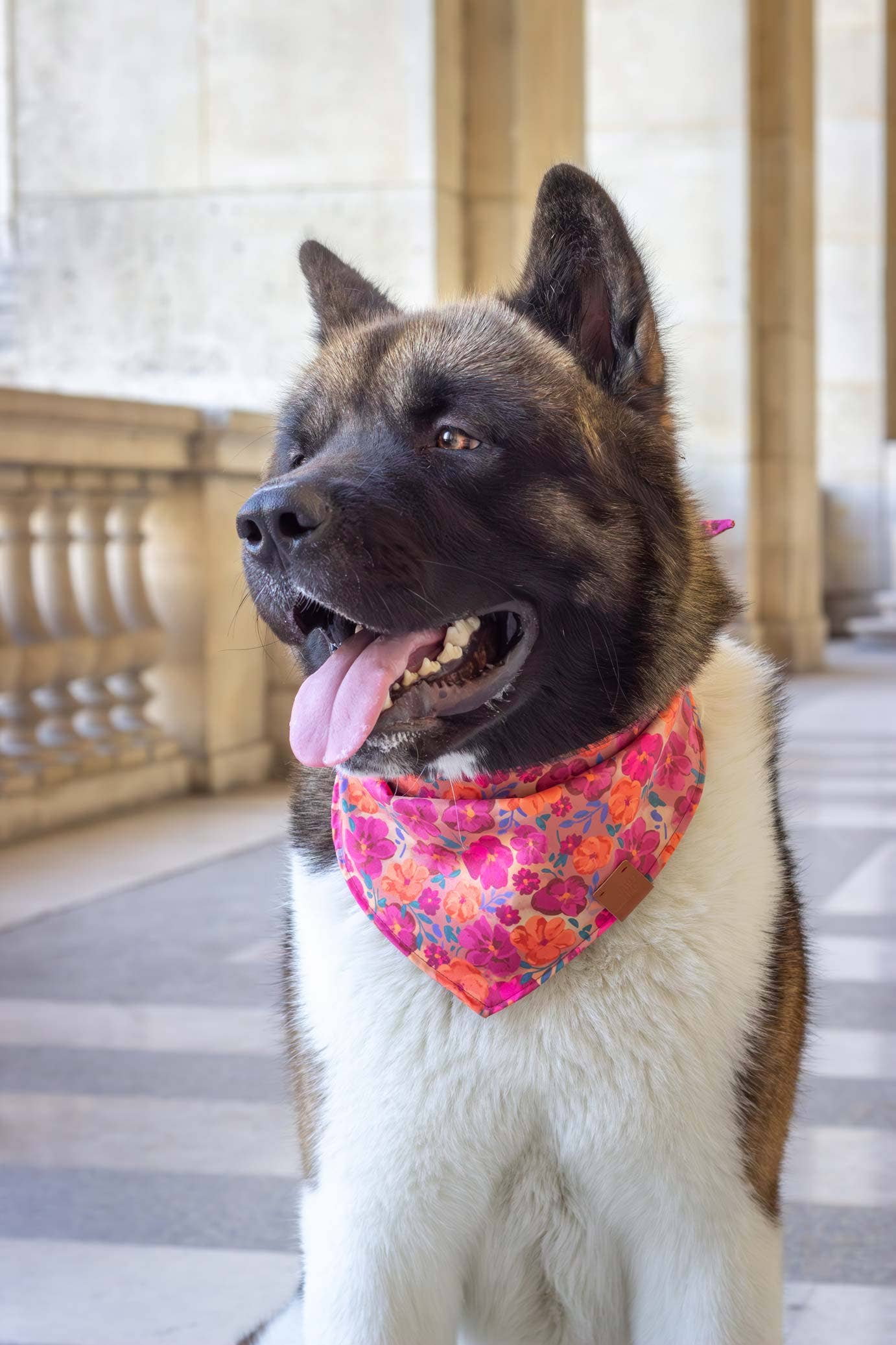 Atelier Markiz - Wholesale Pet Bandana - Dog - Bellagio bandana4