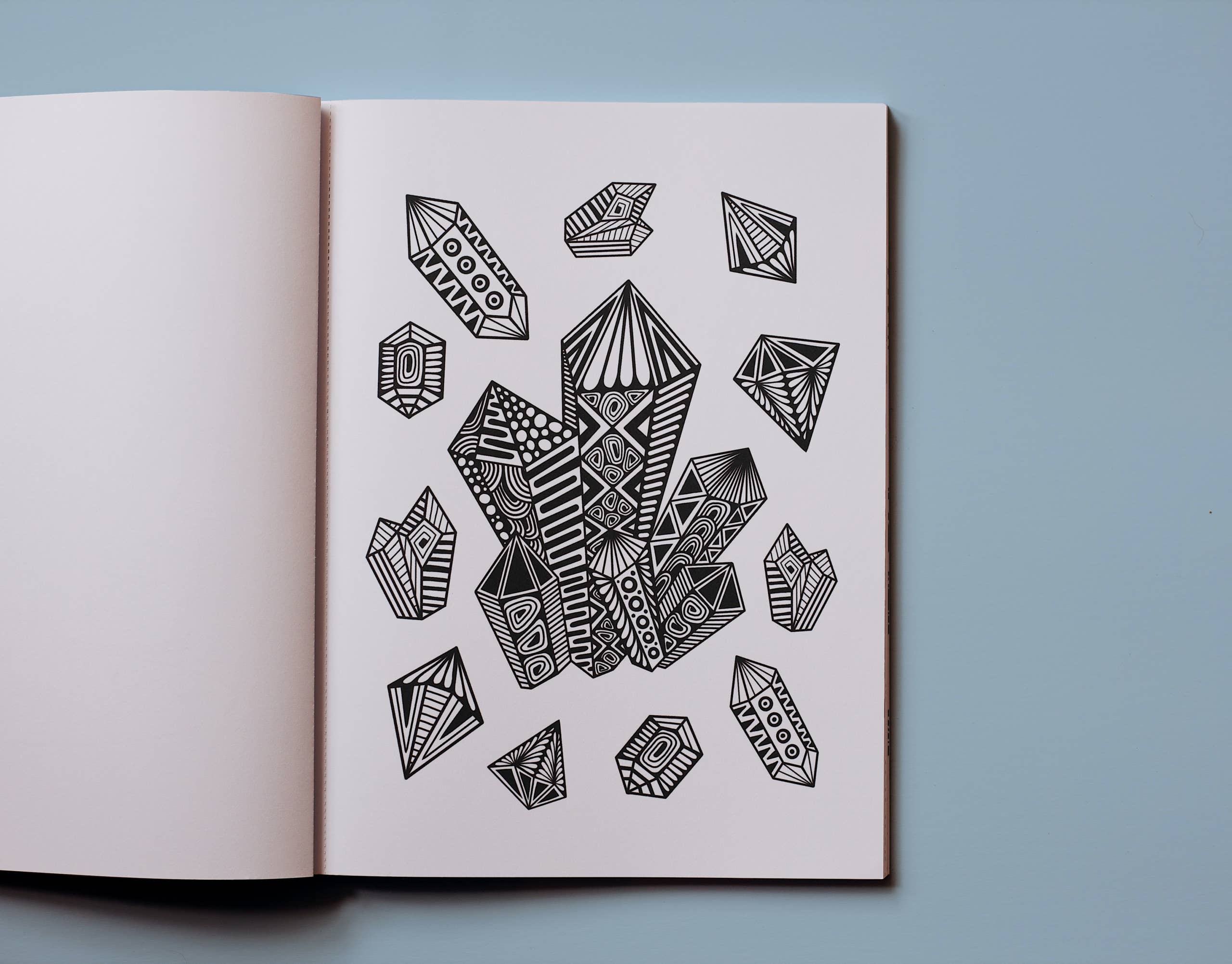 Blue Star Press - Wholesale Coloring & Activity Book - Adult - Dream in Color: Coloring Book & Stickers (Iridescent Cover)3