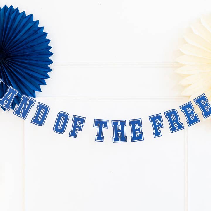 My Mind’s Eye - Wholesale Party Sign/Banner - SSP1004 - Land of the Free Banner