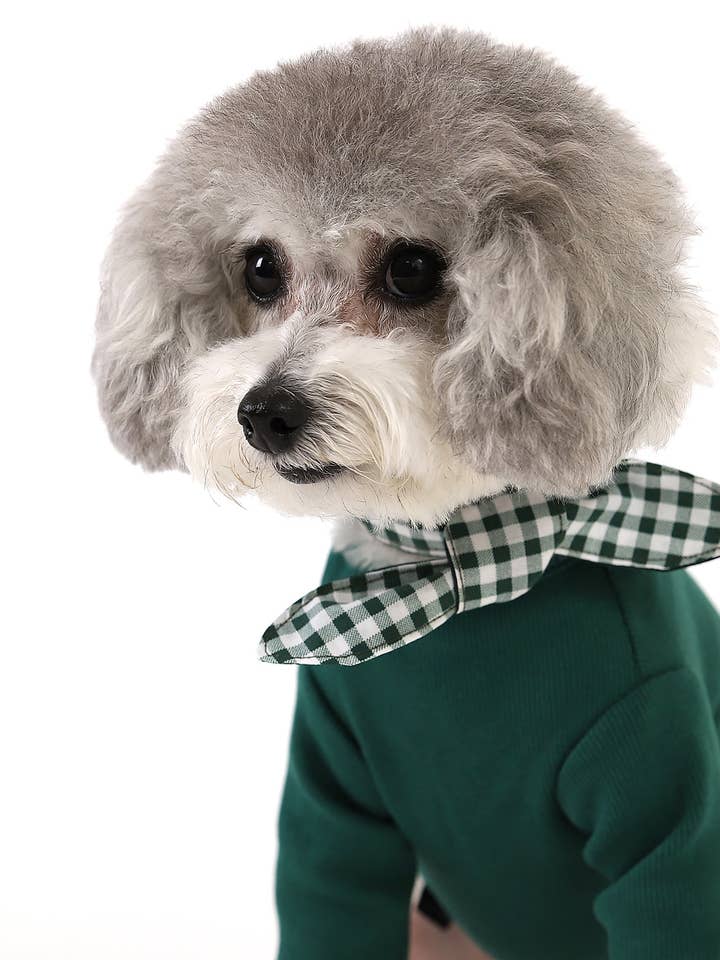 GELATO . SLEEVE . GREEN for wholesale by Pets So Good