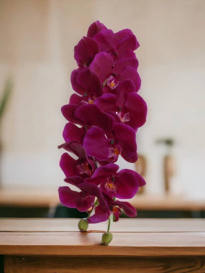 Tige d'orchidée Phalaenopsis violette de 31 pouces avec 10 fleurs pour la vente par Larksilk