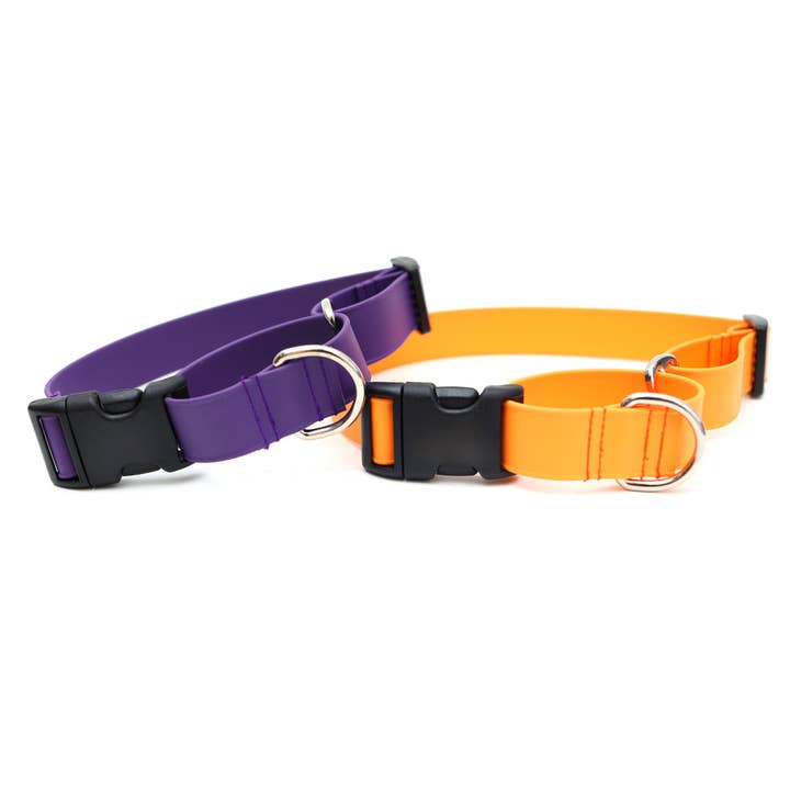 Lightweight Biothane Waterproof Martingale Dog Collar for wholesale by Mimi Green