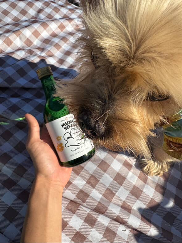 HIGH FOUR – Großhandel Leckerlis – Hund – Soju für Hunde! - Hundefreundlicher, alkoholfreier Hunde-Soju2