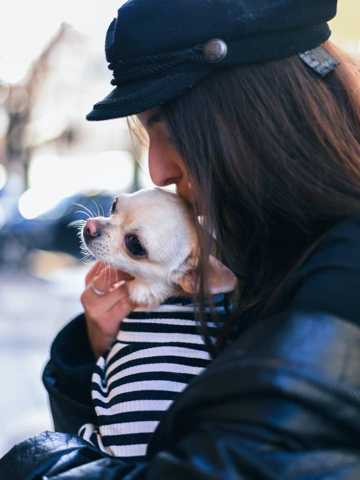 Le Tee Lang - Sort & Hvid for engroshandel hos PET FANGZ