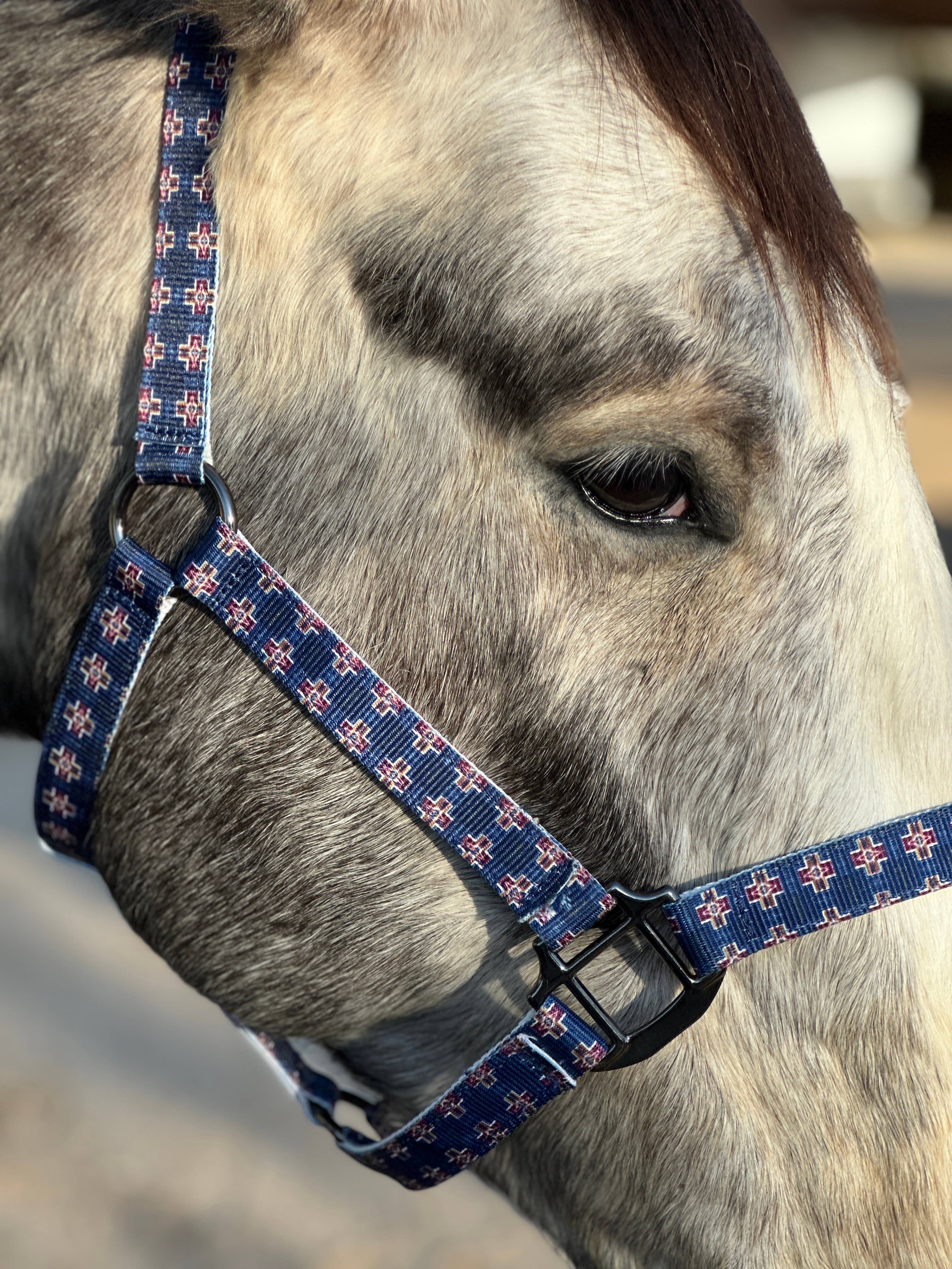 Schulz Equine - Wholesale Horseback Riding Gear - Nylon Halter - Horse Size22