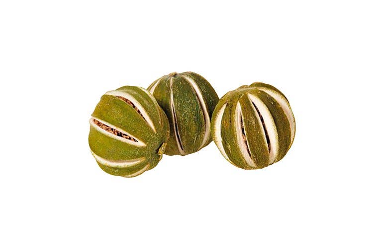 The Dida - Wholesale Teether (Not Clip-On) - Baby - Mini Lime Green0