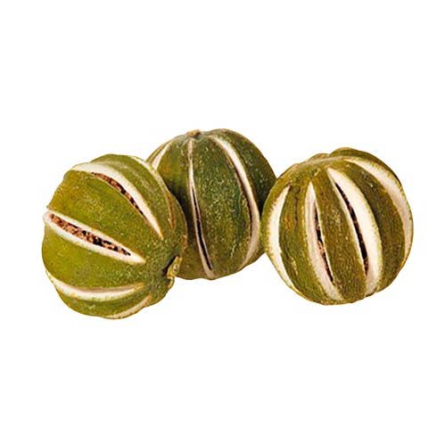 Mini verde lime per la vendita all'ingrosso da parte di The Dida