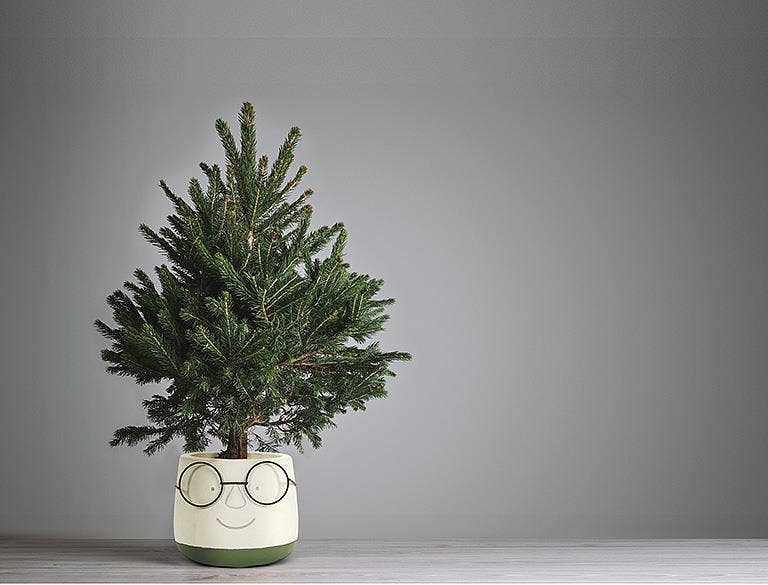 Abbott - Wholesale Plant Pot - Face Planter w/Glasses4