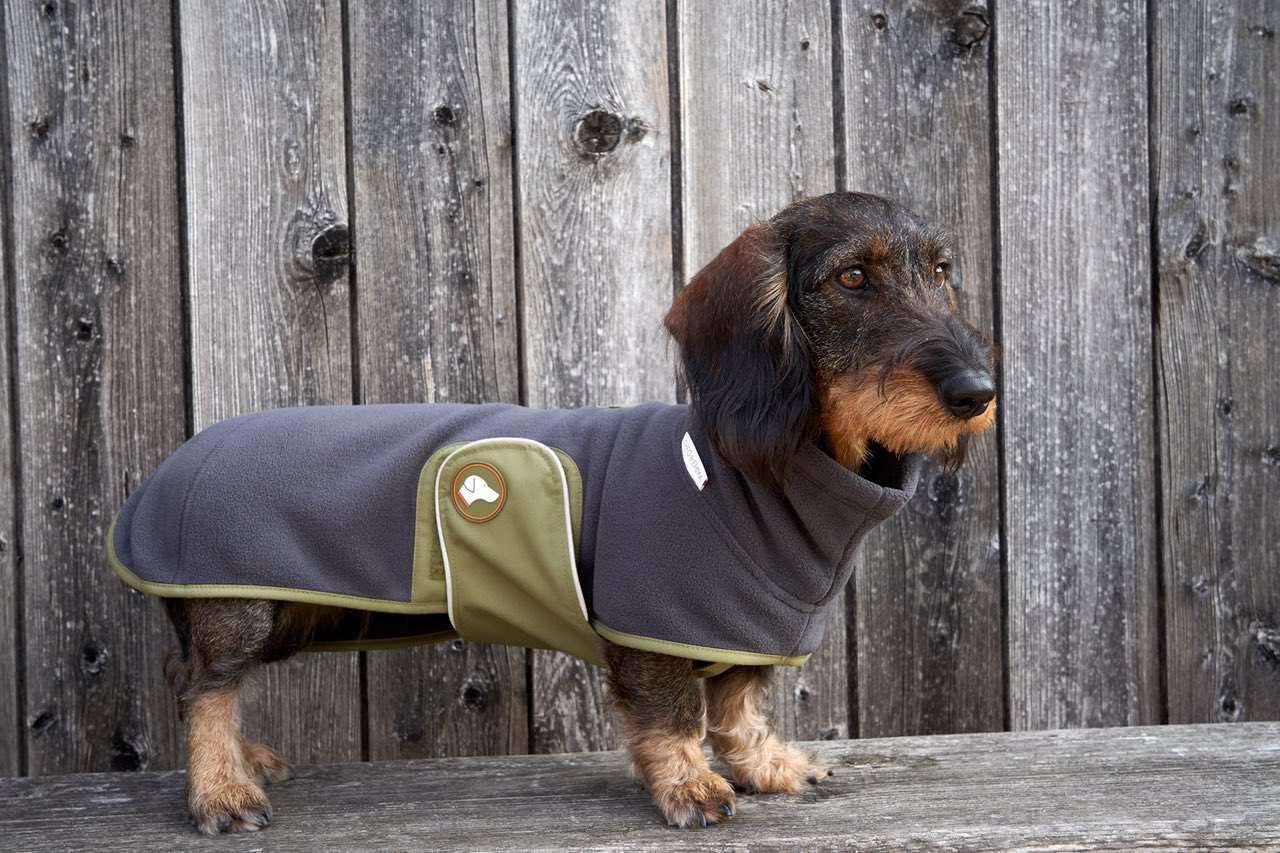 anthracite Pull en polaire pour teckel Henry en anthracite en vente sur Faire