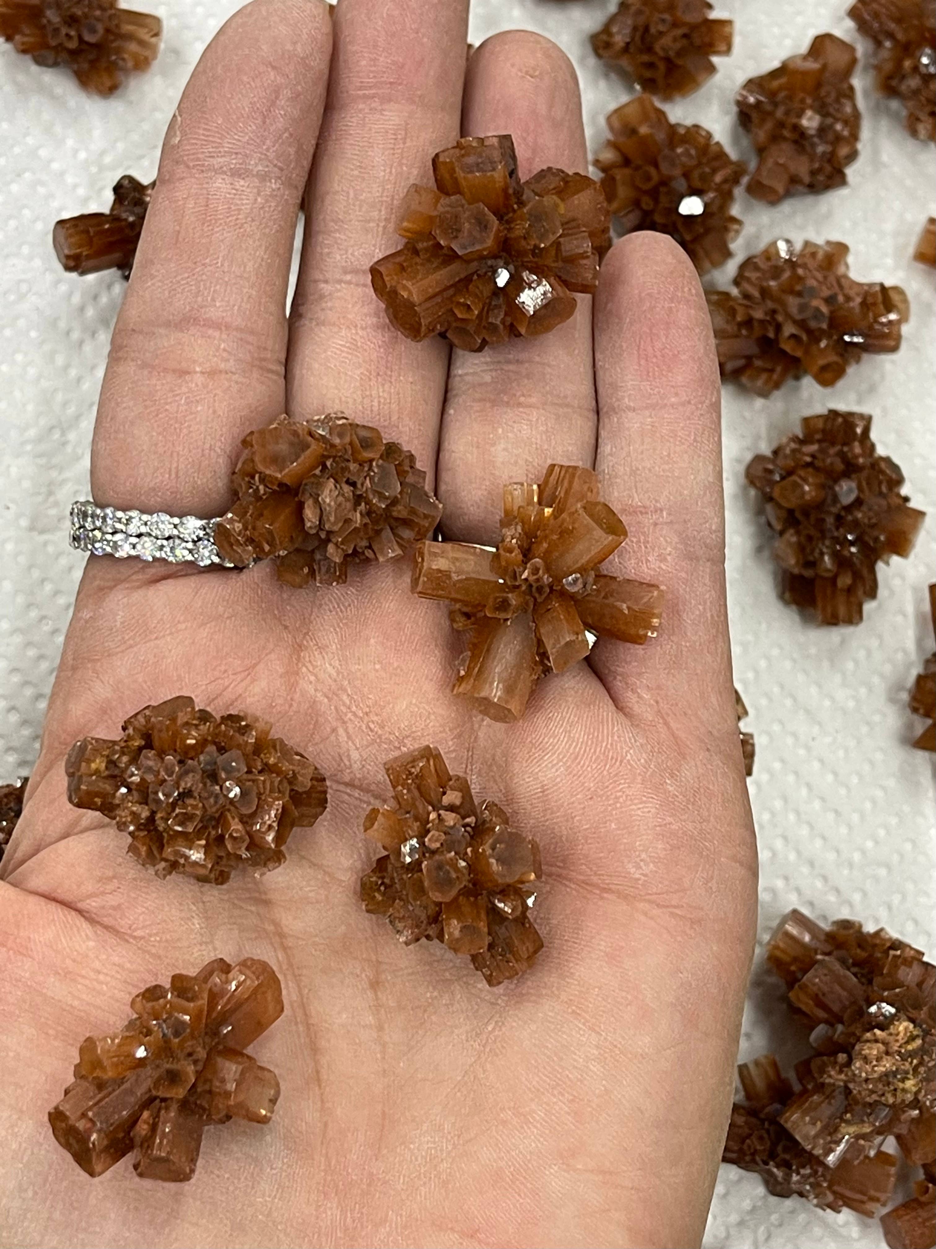 Casablanca Exports - Wholesale Spiritual Stone/Crystal - Sets of 10 - A Quality Small Aragonite Spudnik1