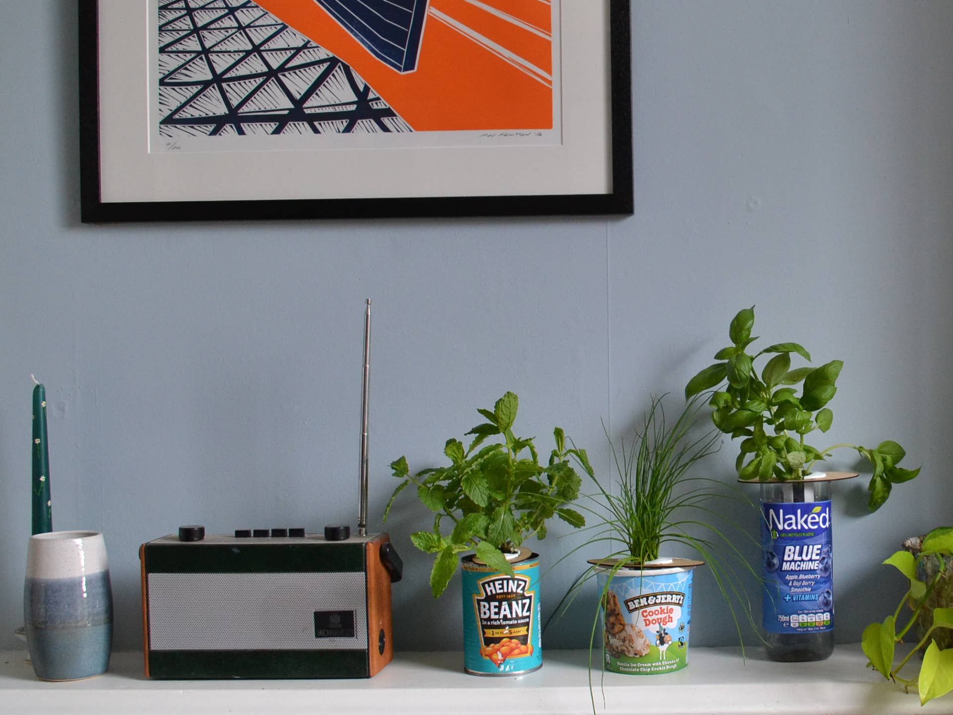 Shroot: Kabloom Seedboms - Wholesale Plant Seeds - Bottle Farm Mini Kit - Indoor Hydroponic Herb Basil Grow Kit8