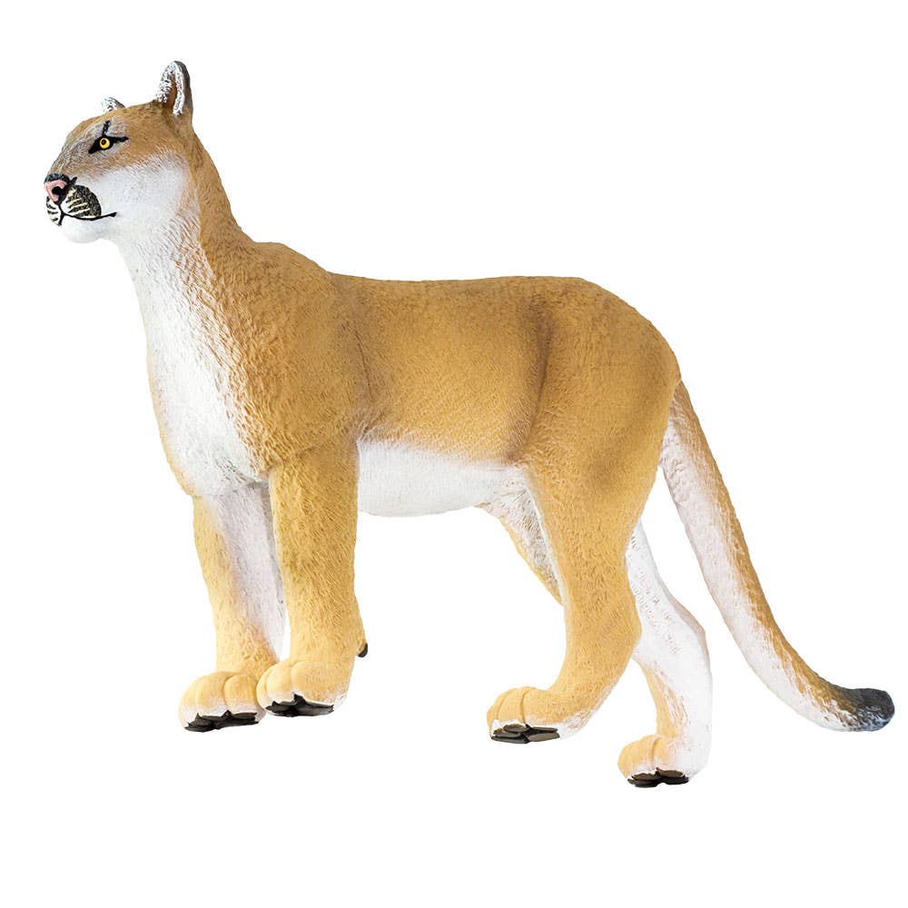 Safari Ltd. - Wholesale Figurine Toy - Kids - Florida Panther - 1001056