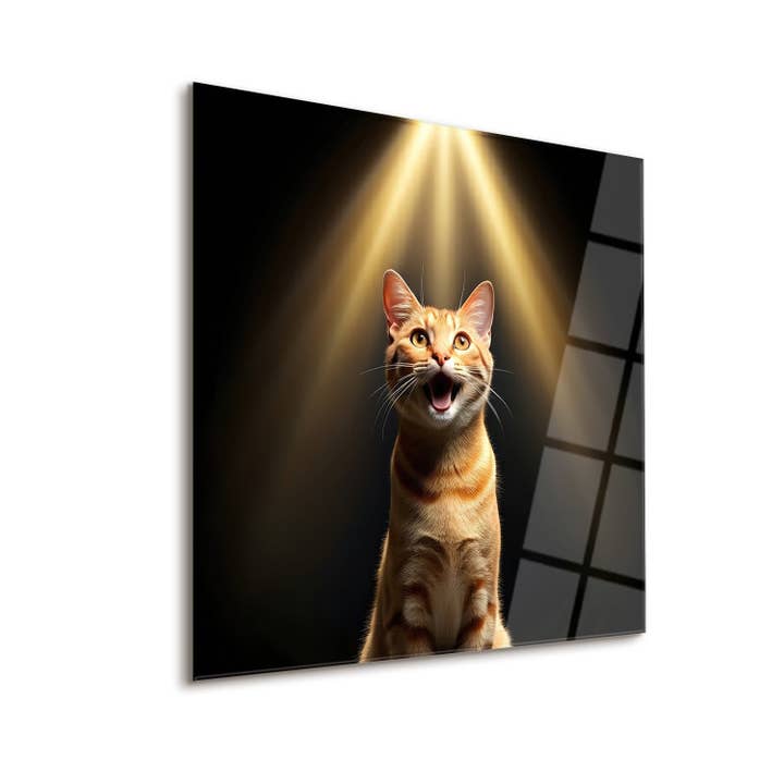 Purr for wholesale by NOXART LLC