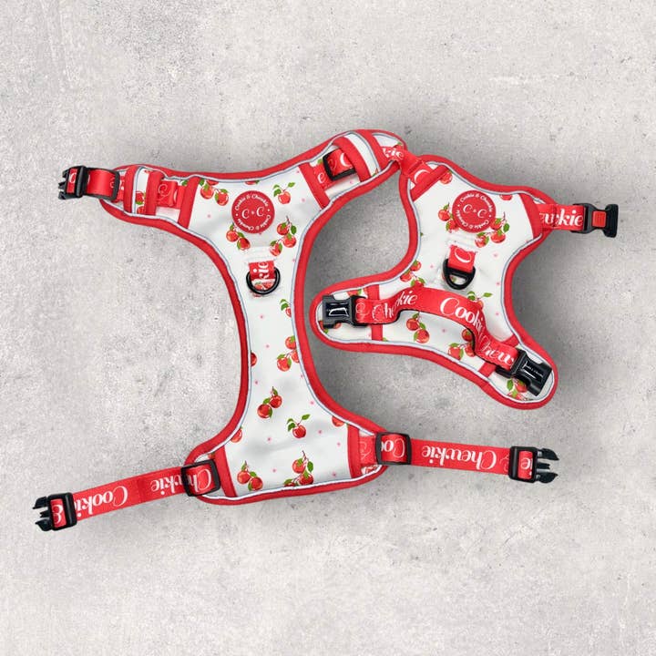 Adjustable TUFF Harness - 'Apple Pawtumn Jeans' for wholesale by Cookie and Chewkie