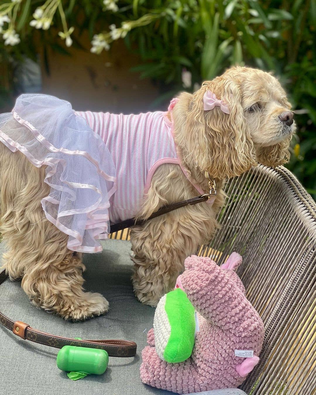 Parisian Pet® – Großhandel Haustierkleid – Hund – Ballerina-Kleid Pink – Perfektes Kleid für besondere Anlässe2