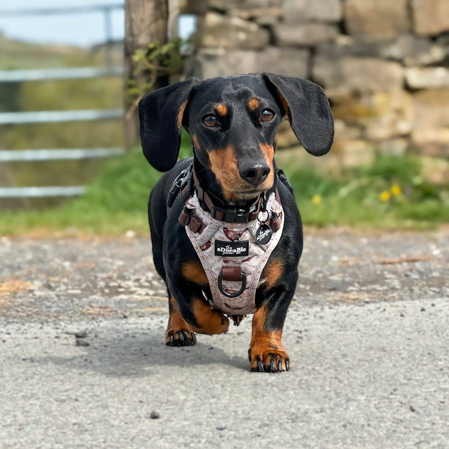 The aDoraBle Pooch Company - Wholesale Tuig voor huisdieren - Hond - Hike & Go™ Harnas - Farmland Fazant32