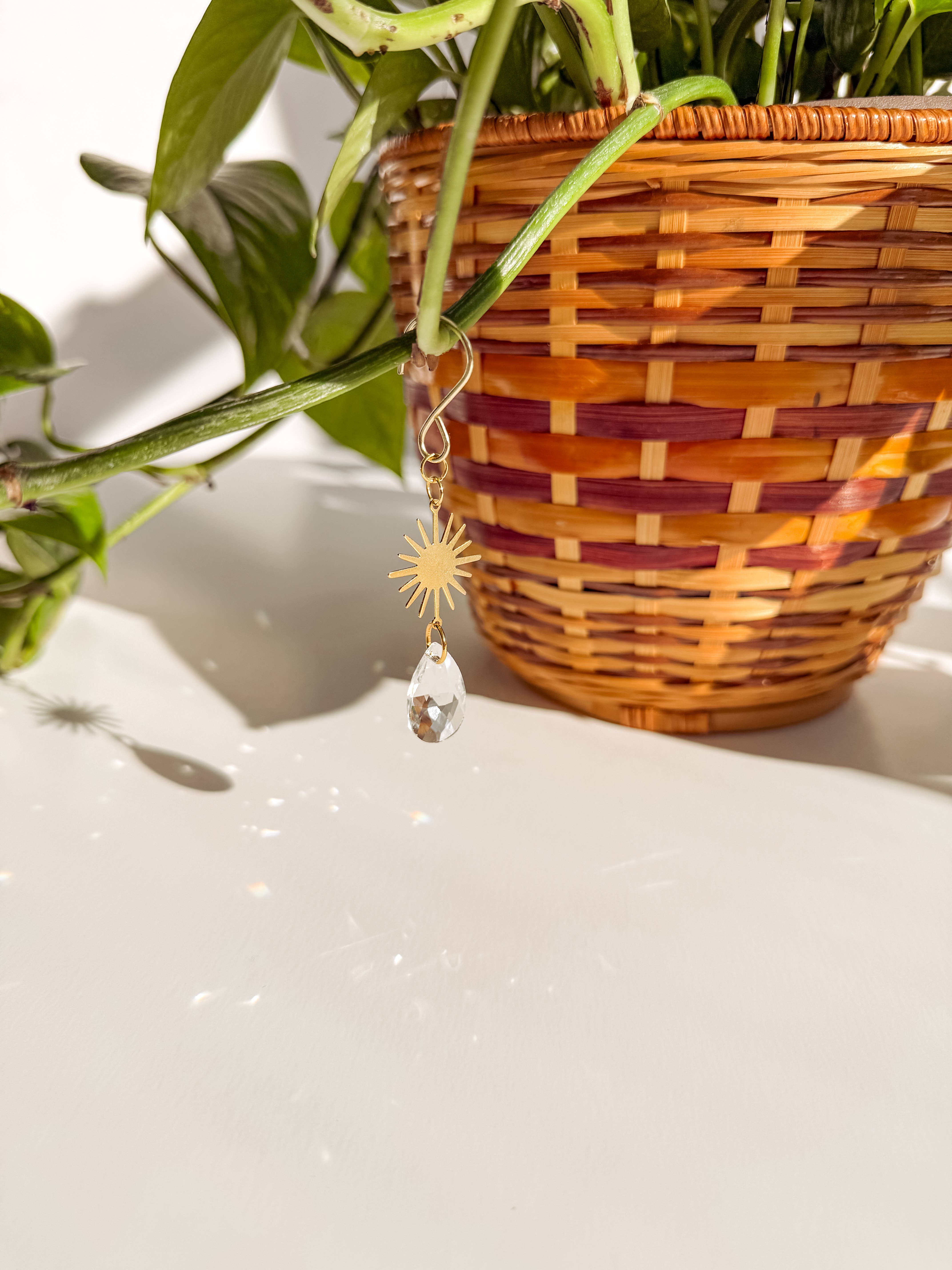 Meraki The Studio Co. - Wholesale Suncatcher - Plant Charm | Suncatcher + Sun | Houseplant Accessories5