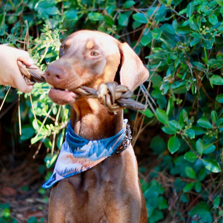 Dogginstix - Wholesale Pet Treats - Dog - Braided Sticks Lamb Collagen Double Knots4