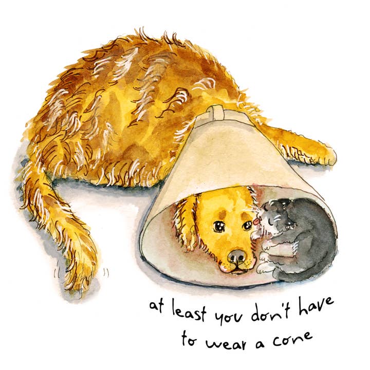 Liyana Studio - Wholesale Sympathy Card - Cone Of Shame Dog And Cat - Sympathy Card1