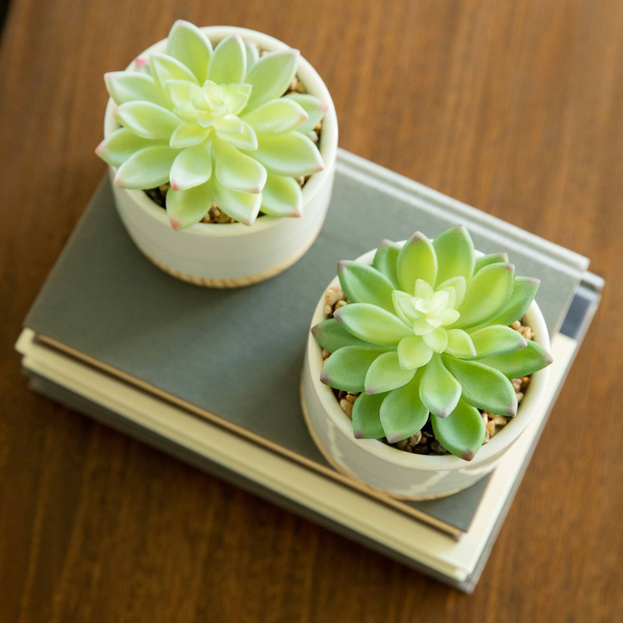 Flora Bunda Inc - Wholesale Artificial Plant - Set of 2 Faux Succulents in Ceramic & Wood Pots1