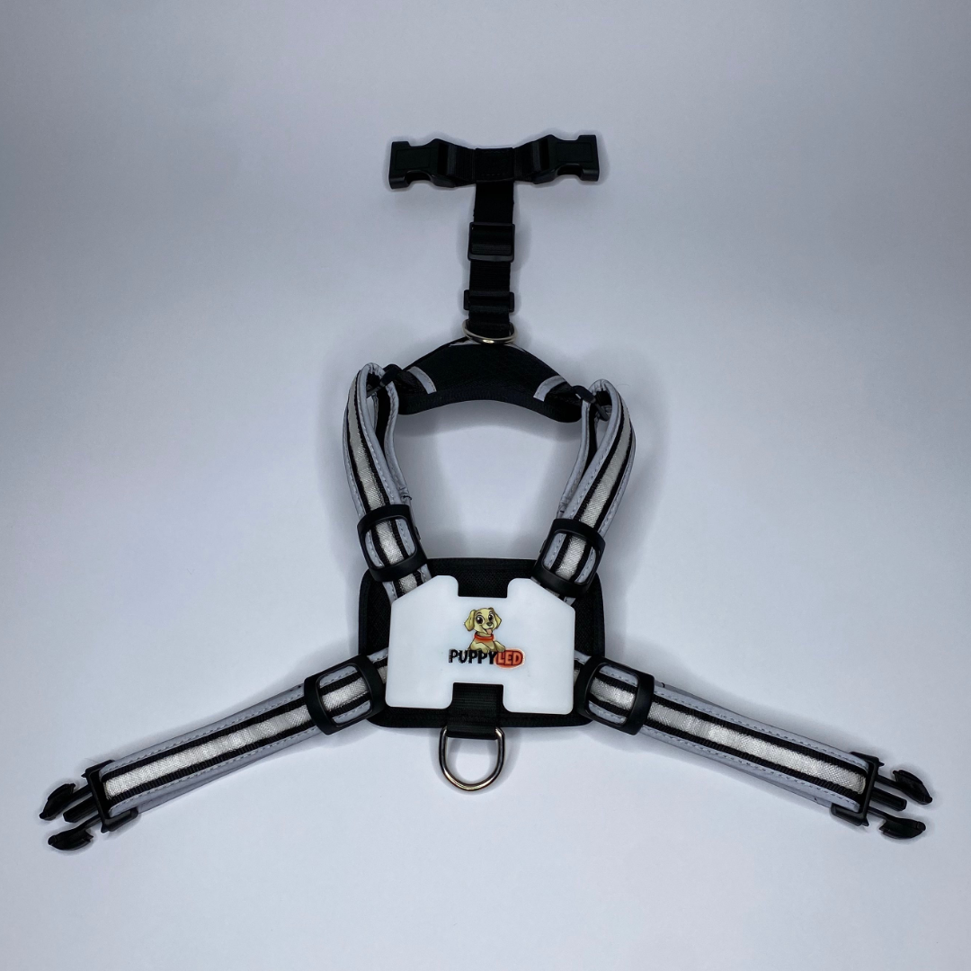 Puppy LED - Venta al por mayor Arnés - Perros - Arnés para perro con luces LED6