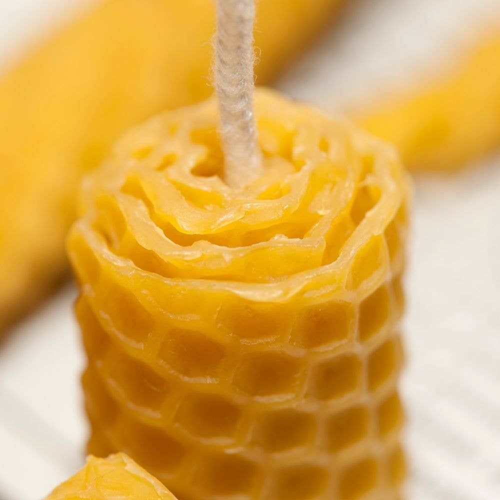 L'ABELLA MIEL - Venta al por mayor Cirios pequeños - L'ABELLAMEL Velas de cera de abeja 3 Packs de 6 Unidades1