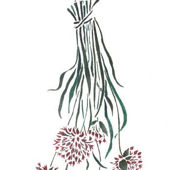 Hängande gräslök vägg stencil för wholesale av Designer Stencils