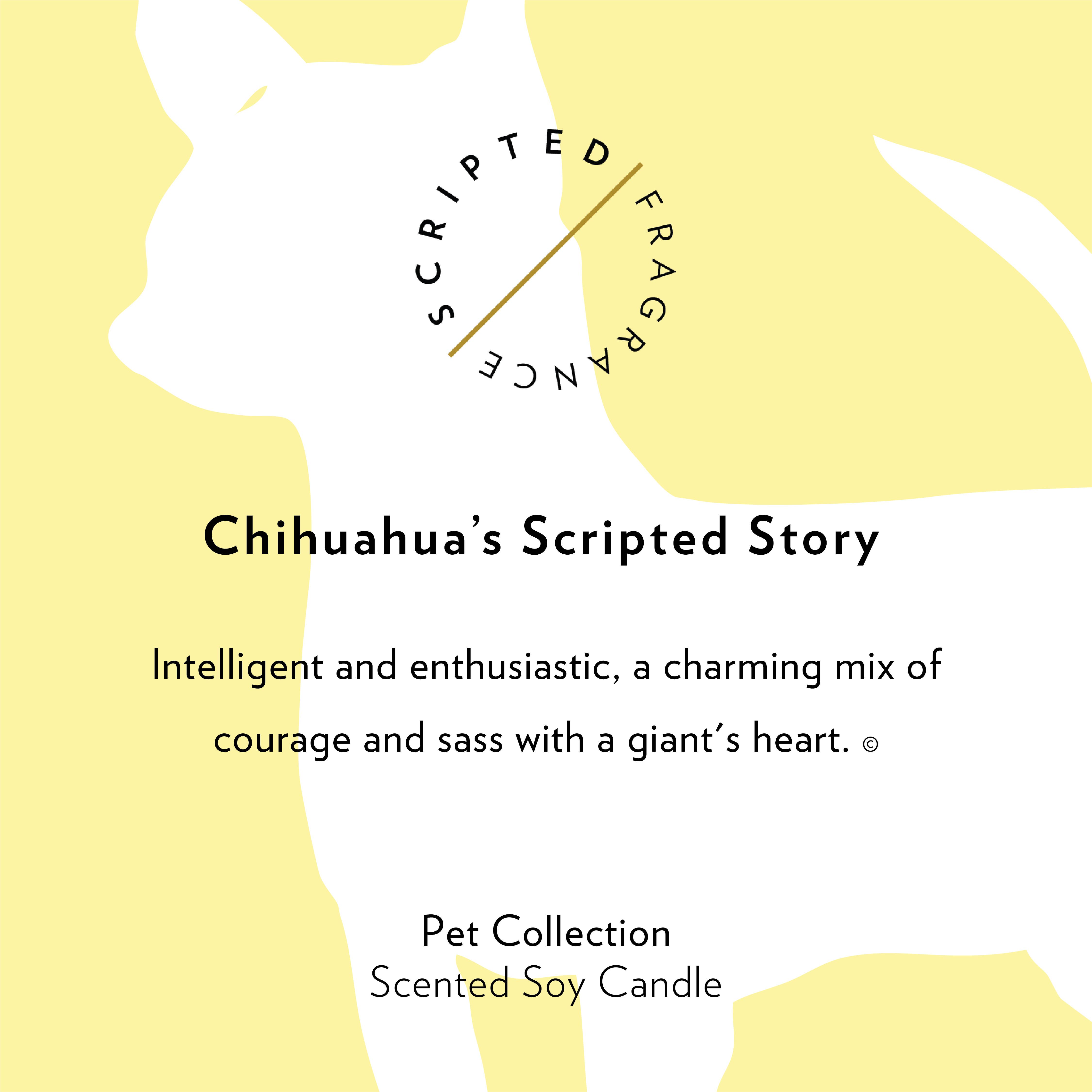 Scripted Fragrance - Wholesale Jar/Filled Candle - Chihuahua Dog Soy Candle in Drinking Glass Two-In-One Gift7