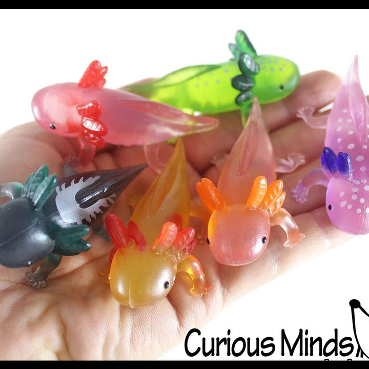 Curious Minds Toys - Wholesale Fidget Toy - Kids - 12 Realistic 2.5" Colorful Tiny Axolotls Figurines -Mini Toy