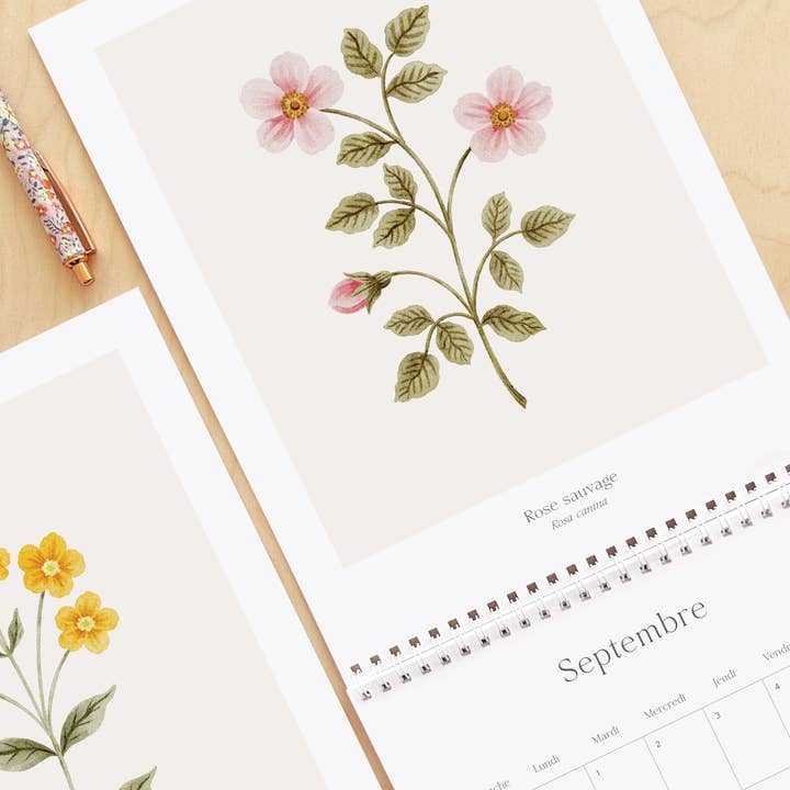 Marie-Lise Illustration - Wholesale Calendar - Calendrier 2026 - Douceur Florale5