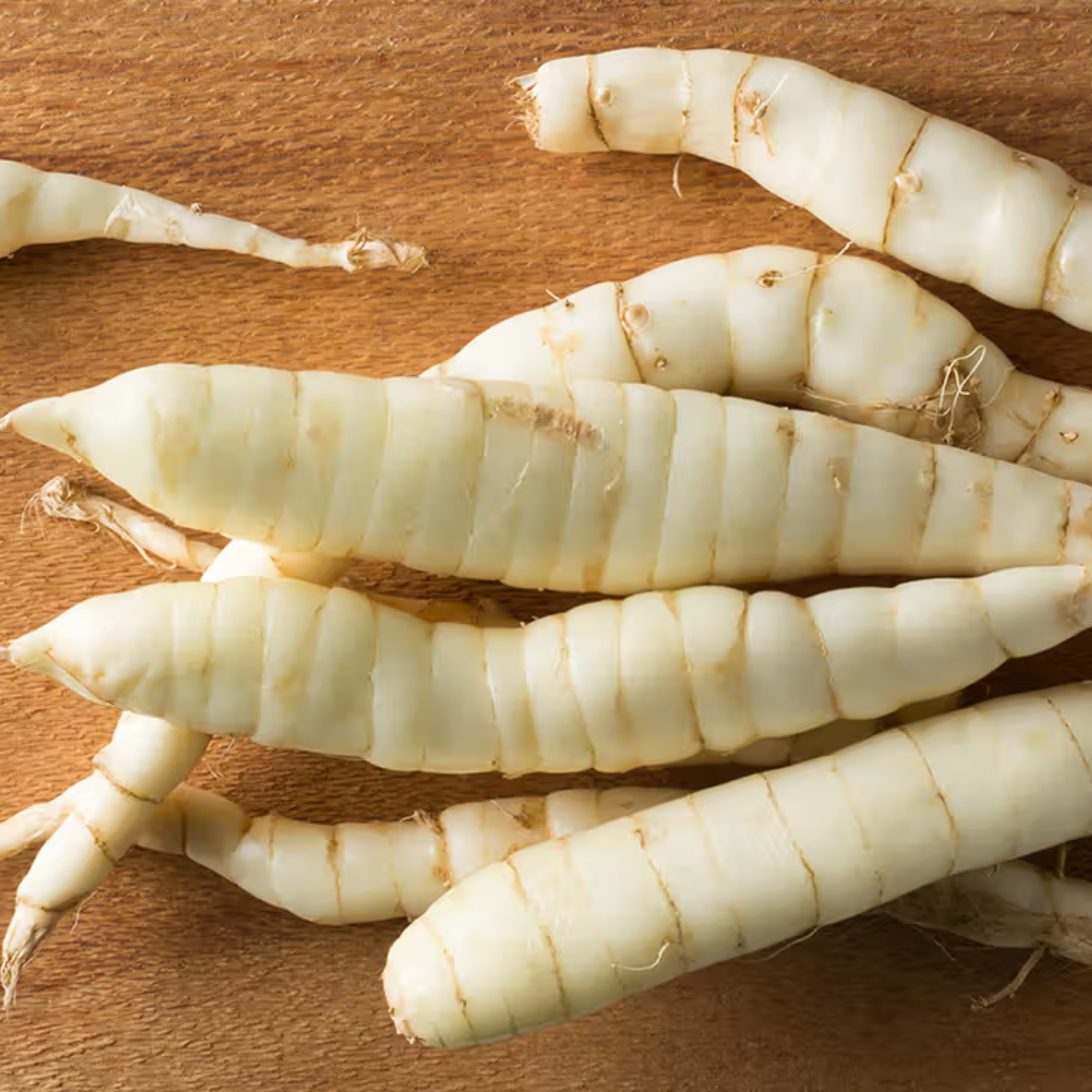 Herb To Body - Wholesale Protein/Superfood Powder - Arrow Root Powder 3