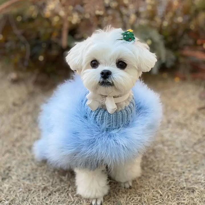 Furr-Baby Gifts - Wholesale Pet Sweater - Dog - Haute Couture Feathered Luxury Pet Sweater6