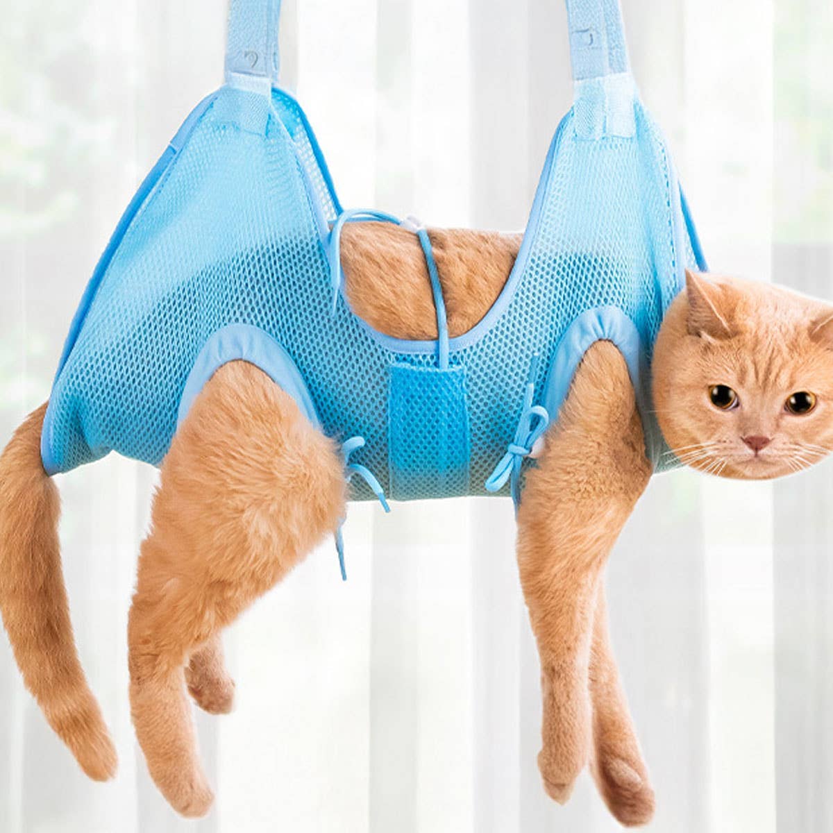 PAWPAWwholesale - Wholesale Pet Grooming Aid - Dog - Pet Grooming Hammock for Cats &  Dogs_CWMM62211