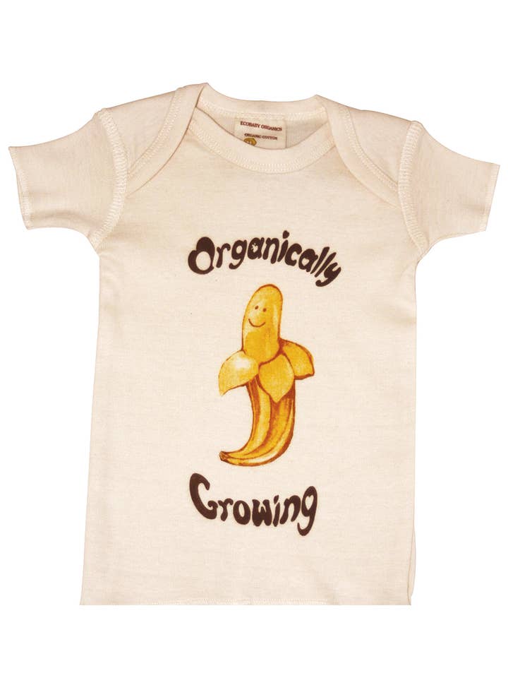 Healthy Body Head To Toe - Wholesale T-Shirt - Baby - Ecobaby Organic Cotton Infant Tee Shirt Short Sleeve