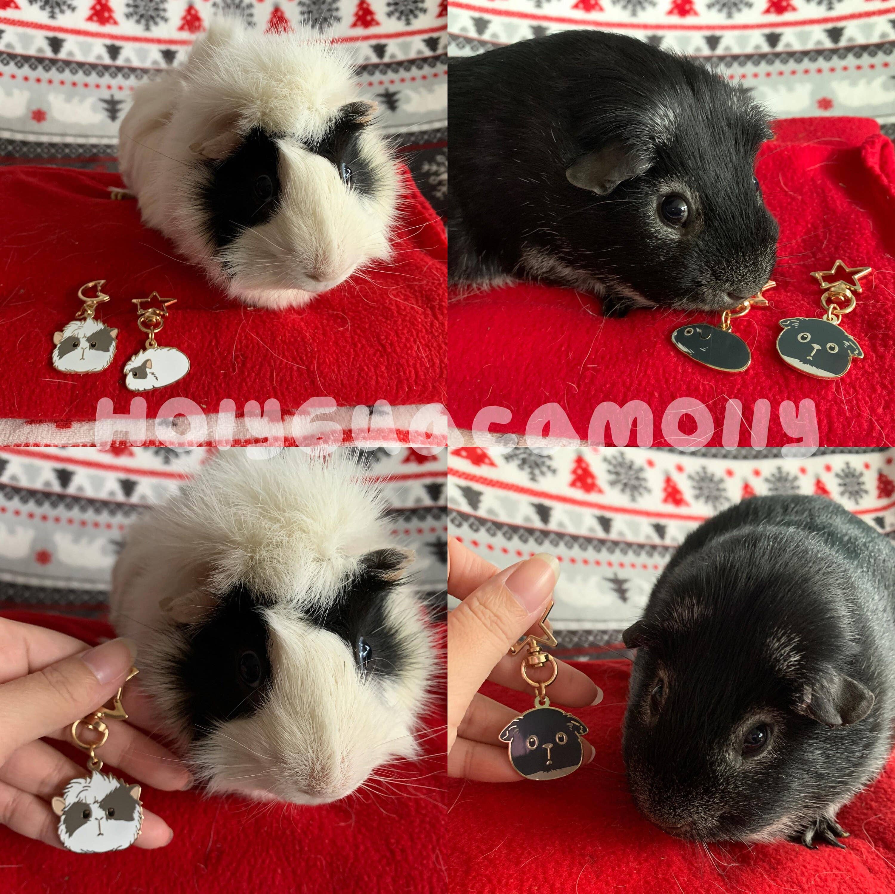 HolyGuacamolly - Wholesale Keychain - Women's - Original Design Guinea Pig Keychains Set8