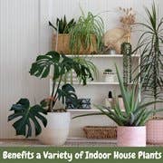 Kurated Korner - Wholesale Planting/Potting Soil - Soil Sunrise Potting Soil with Mycorrhizae5