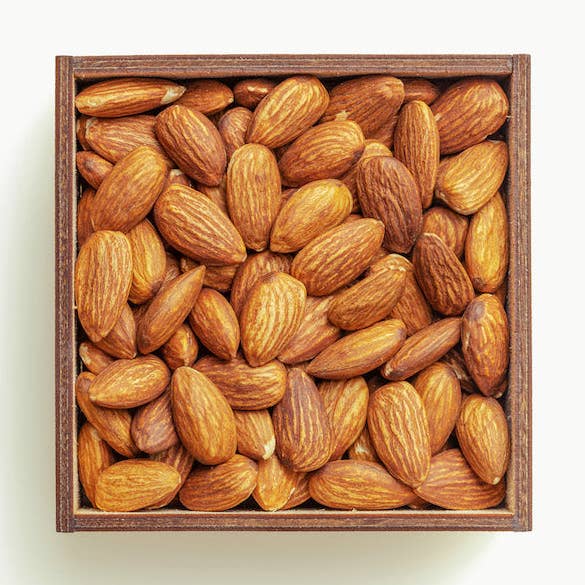 Toasted Almond Coconut Candle & Soap Fragrance Oil for wholesale by Scentivore