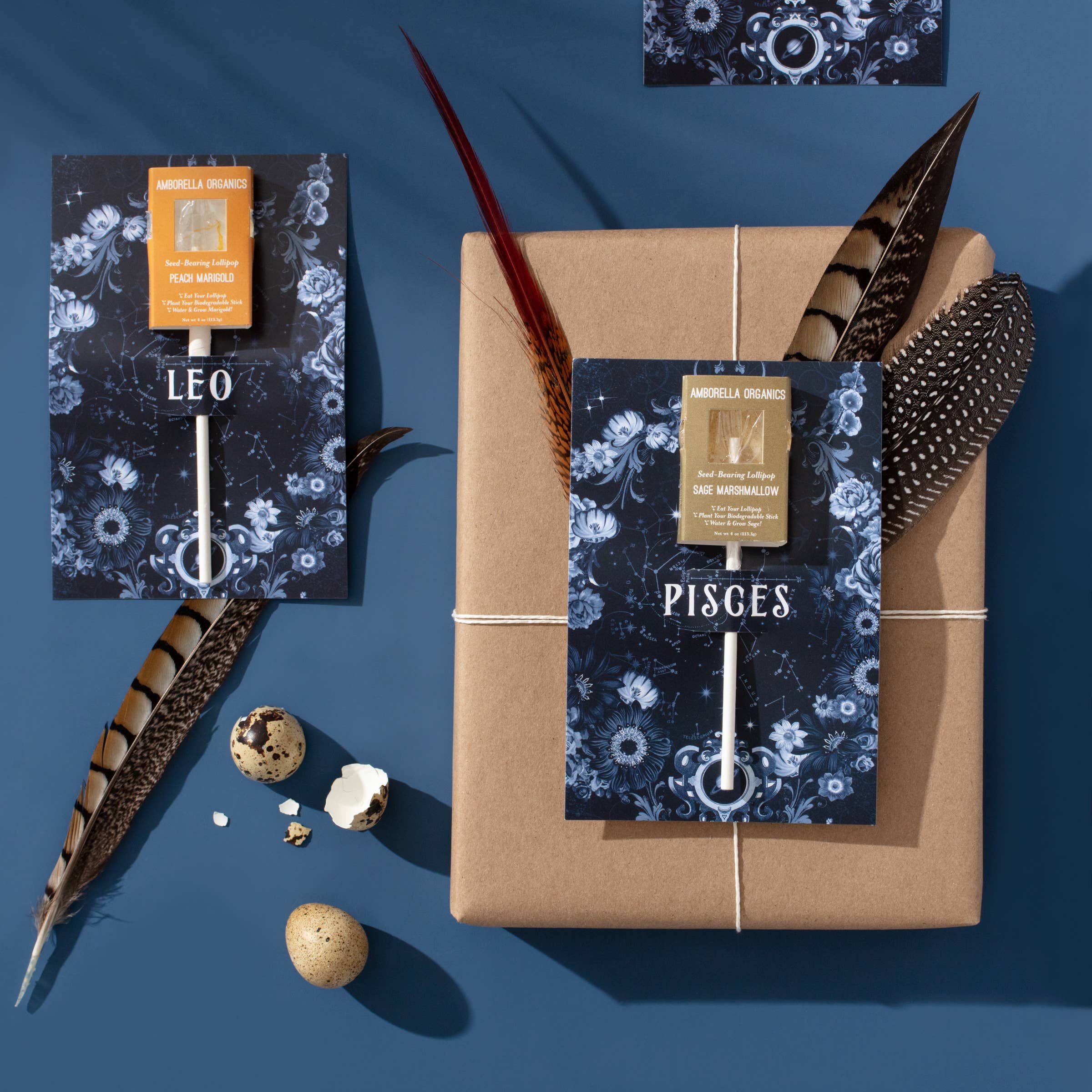 Amborella Organics - Wholesale Lollipop - Astrology Cards w/ Seed-Bearing Lollipop (Eat, Plant, Grow)4