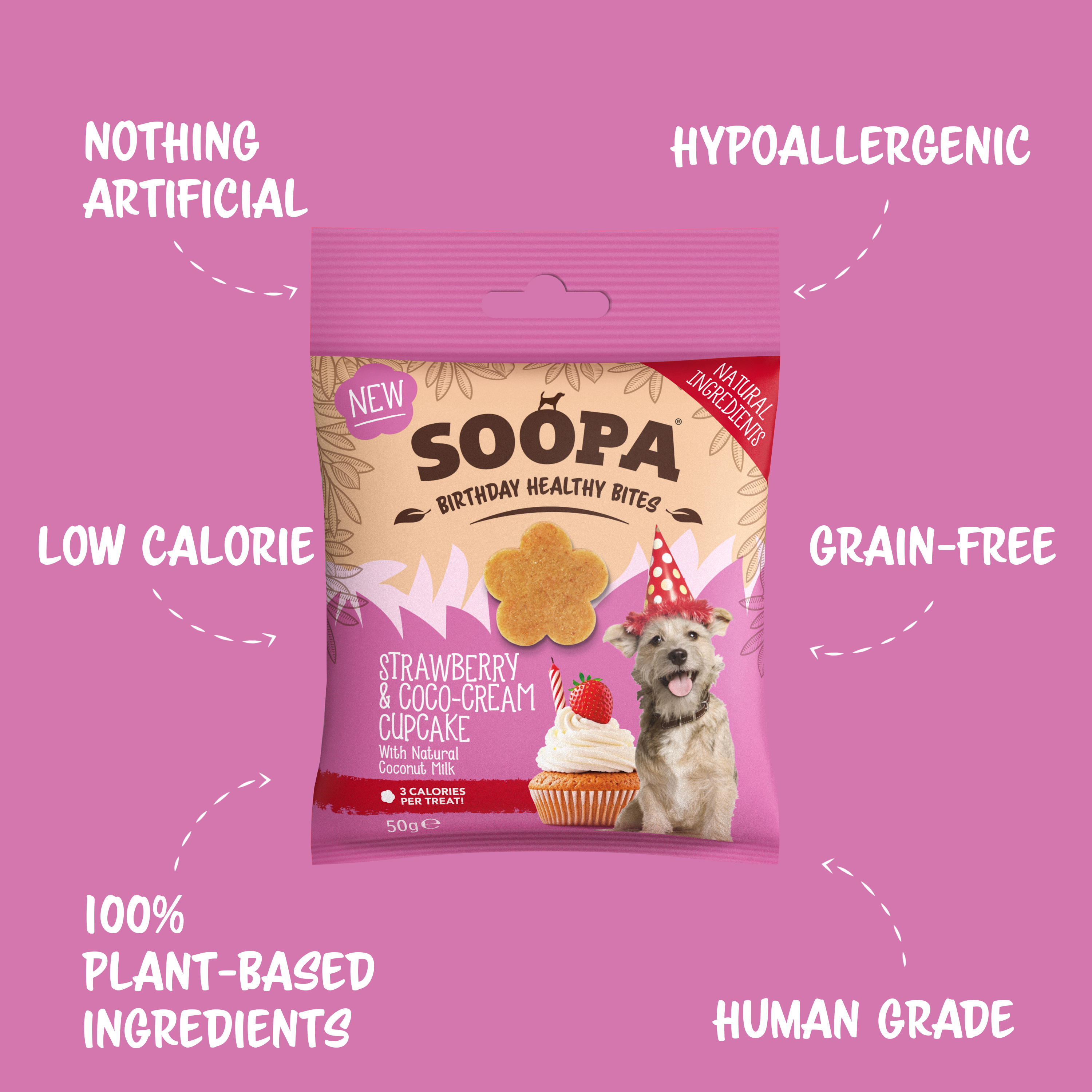 Soopa Europe - Wholesale Pet Treats - Dog - Strawberry & Coco-Cream Cupcake Dog Treats0