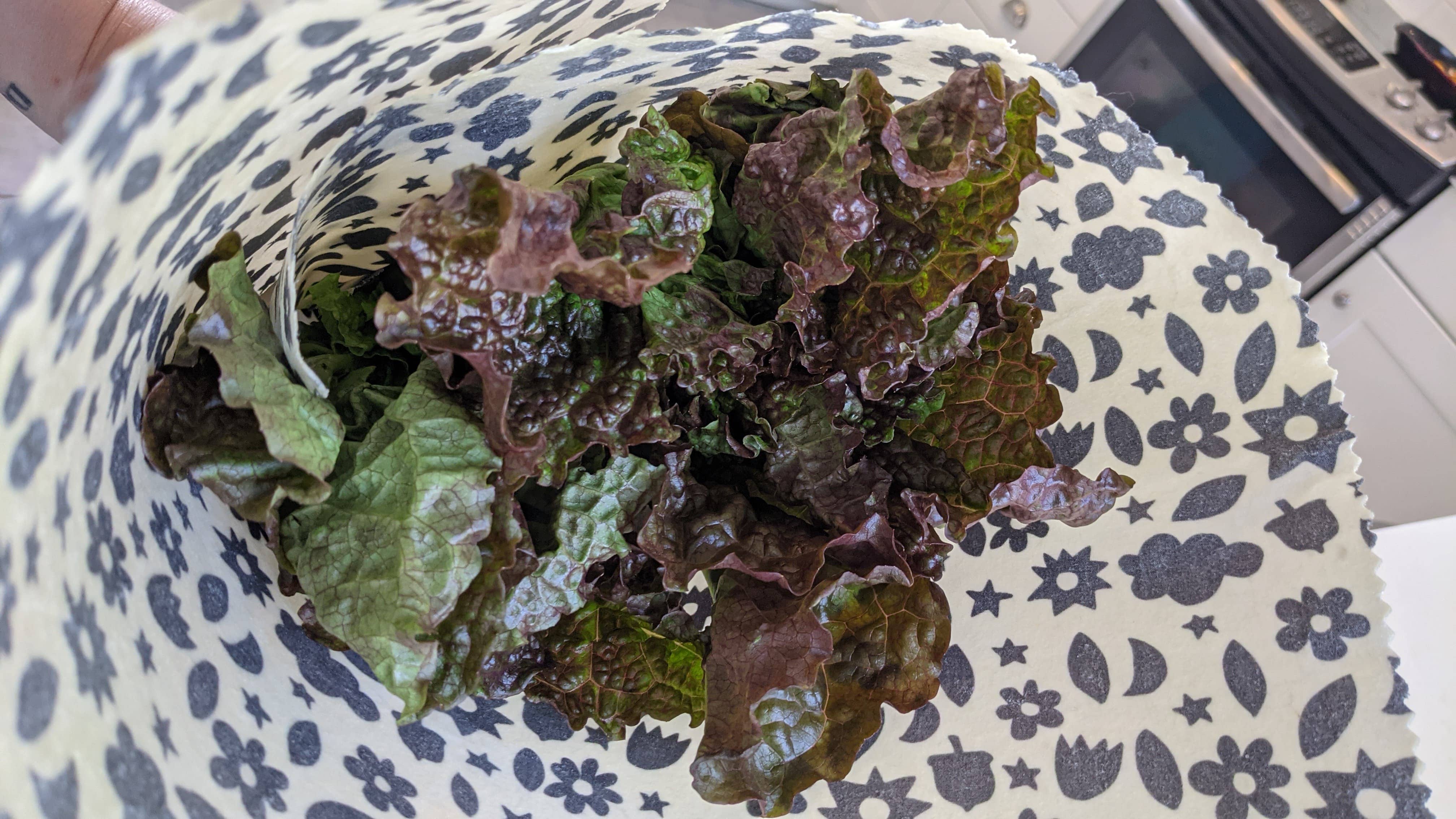 Mind Your Bees Handmade Wraps - Vendita all'ingrosso Involucro/sacchetto per alimenti - Impacchi alimentari in cera d'api - Set Sm o Lg (stampa scarabocchi)3