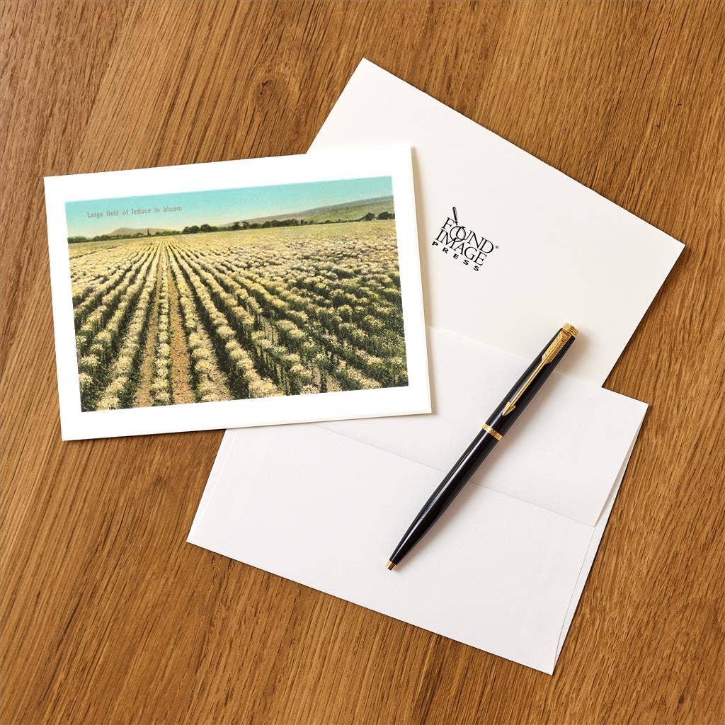 Found Image Press - Wholesale Stationery/Notecard Set - Greeting Card FR-246 Lettuce Field in Bloom1