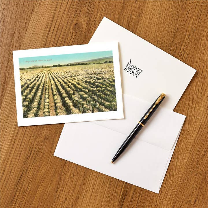 Found Image Press - Wholesale Stationery/Notecard Set - Greeting Card FR-246 Lettuce Field in Bloom1