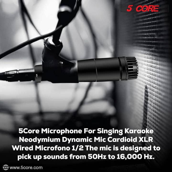 K Cube Inc - Wholesale Speakers - 5Core XLR Microphone Dynamic Mic Singing Handheld Mics6