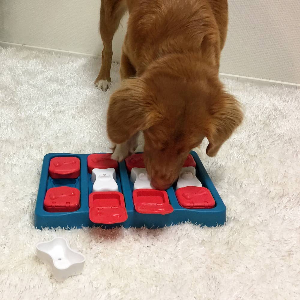 Pet Palette Distribution - Wholesale Pet Toy - Dog - Nina Ottosson Dog Brick Interactive Treat Dog Puzzle Blue3