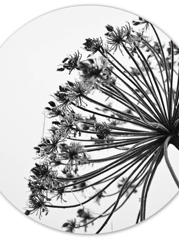 Muurcirkel blies voor wholesale door Label2X B.V.